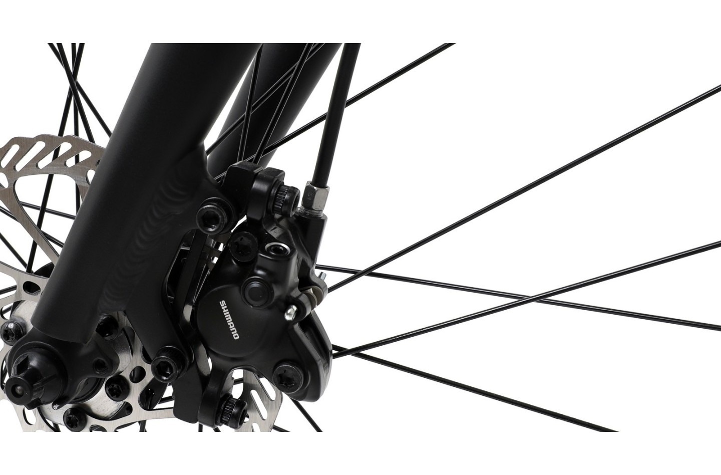 Vélo WELT Horizon
