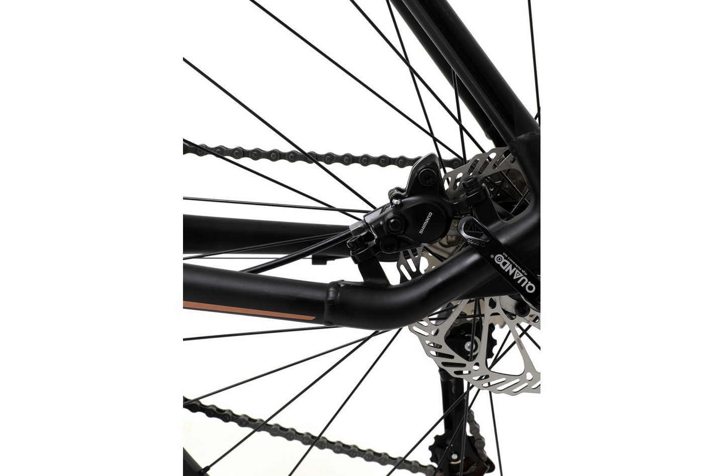 Vélo WELT Horizon