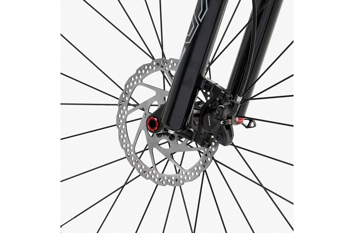 Vélo WELT Rambler MTB