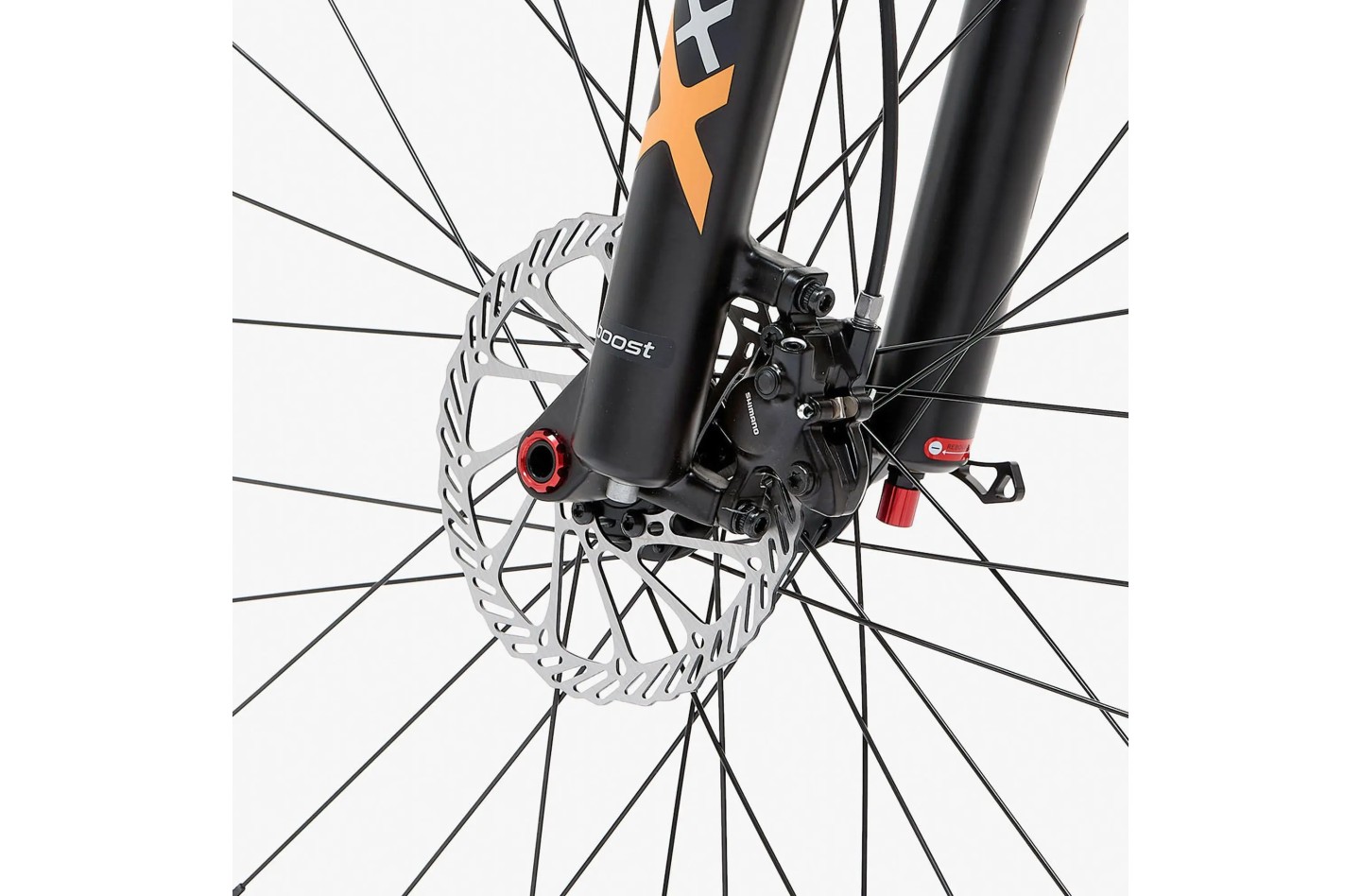 Vélo WELT Ranger 4.0