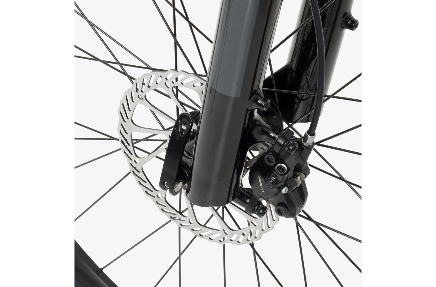 Vélo WELT Rockfall 1.0